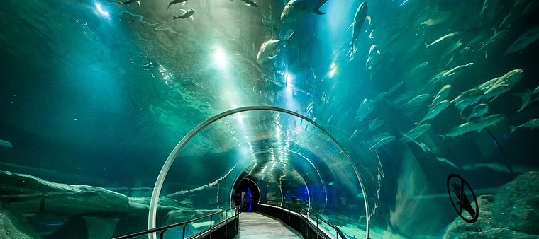 Túnel do AquaRio, o aquário do Rio de Janeiro